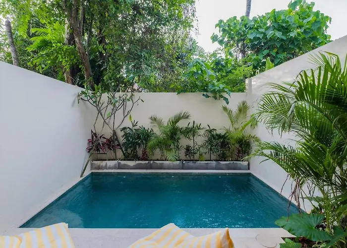 Large Private Pool Border Canggu & Pererenan